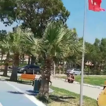 Golf 库萨达斯